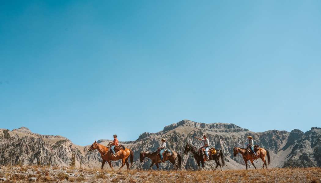 Four people riding on horseback in the Bridger-Teton National Forest.