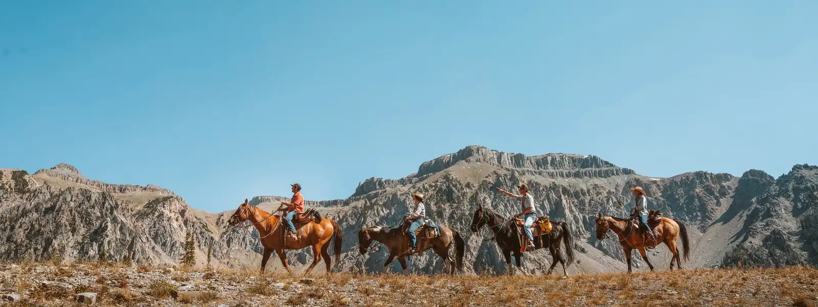 Four people riding on horseback in the Bridger-Teton National Forest.