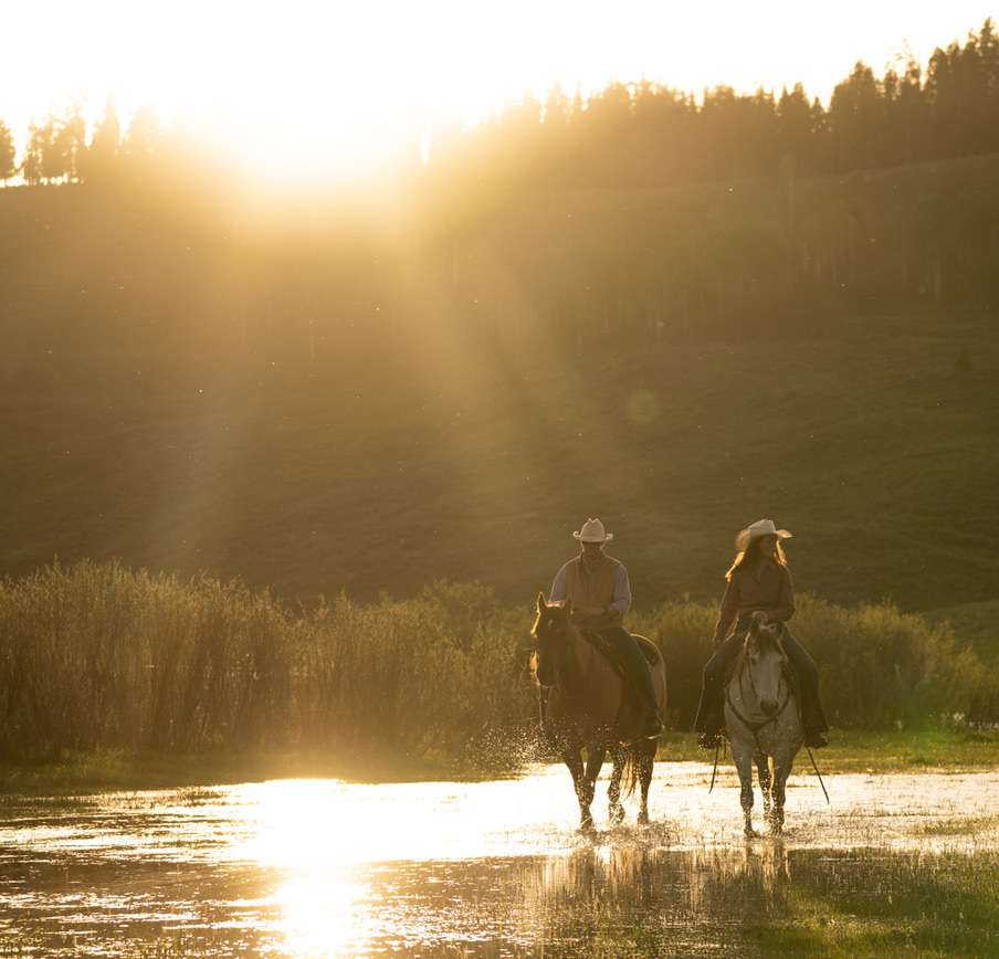 wyoming horseback pack trips