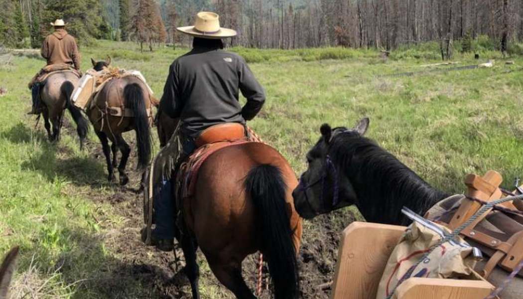 horseback riding tours jackson hole