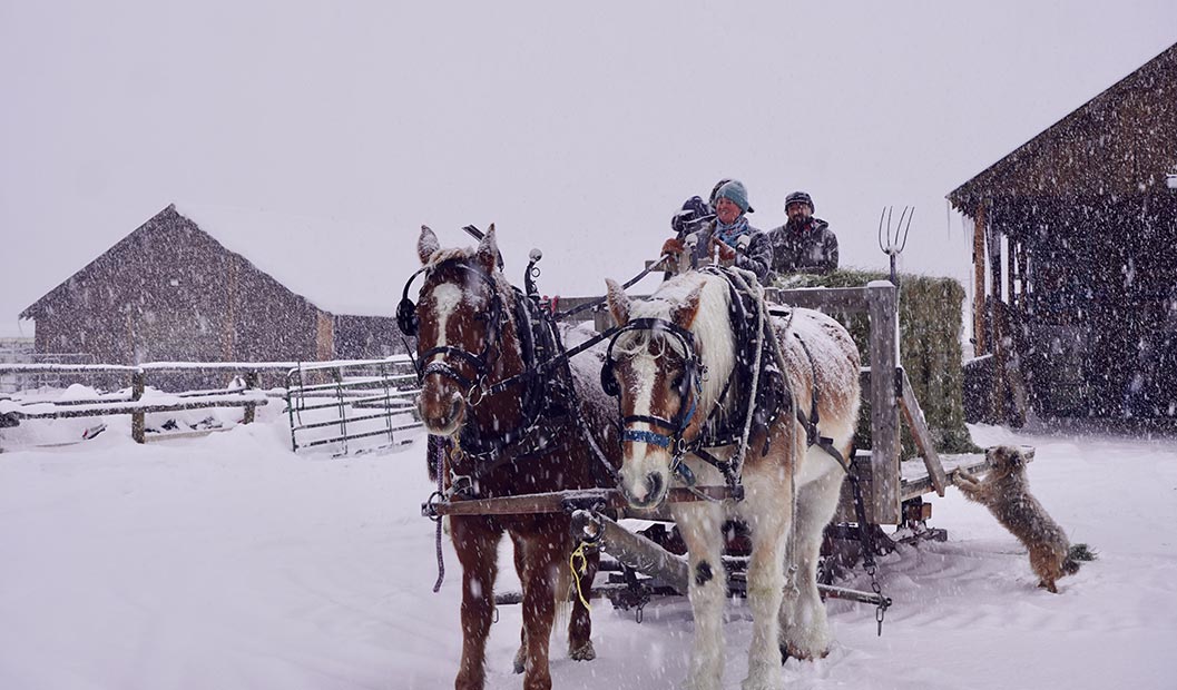 Sleigh rides at the Little Jennie Ranch in Jackson, Wyoming 