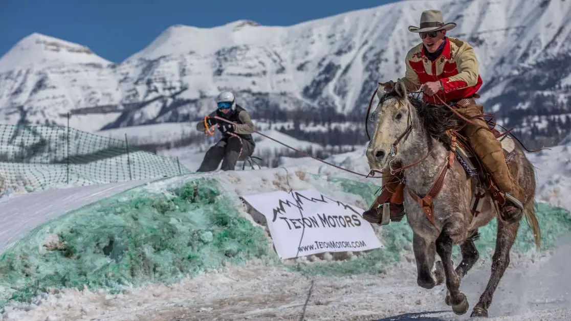 schedule-skijoring-jackson-hole-little-jennie-ranch